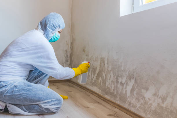 Hvac And Air Duct Mold Remediation inspection of HVAC system in DeWitt